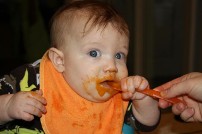 Baby, Carpet and Hardwood Flooring in North Bennington, VT